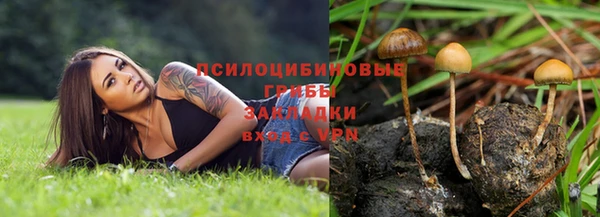 кокаин премиум Заречный